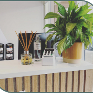 A leafy green plant and reed diffuser sit on the counter at Almond Hearing’s Livingston clinic, beside displayed hearing products.